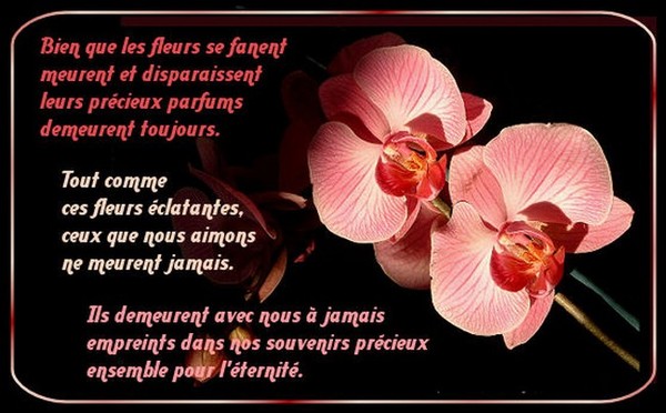 A mon beau-père
